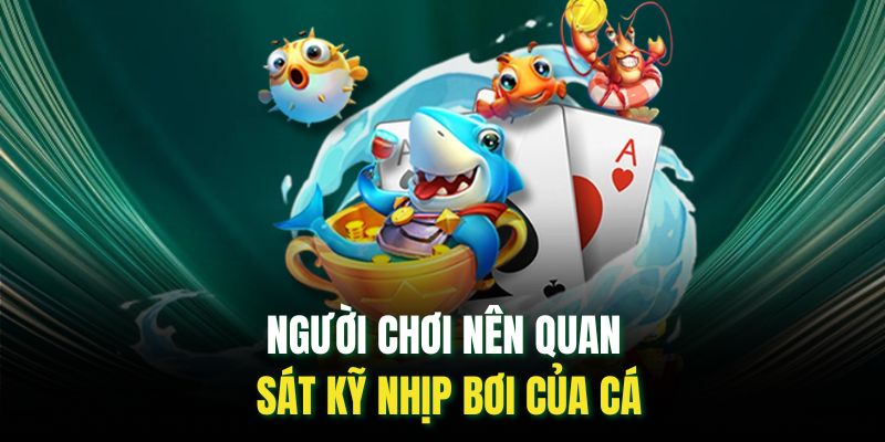 Người chơi nên quan sát kỹ nhịp bơi của cá