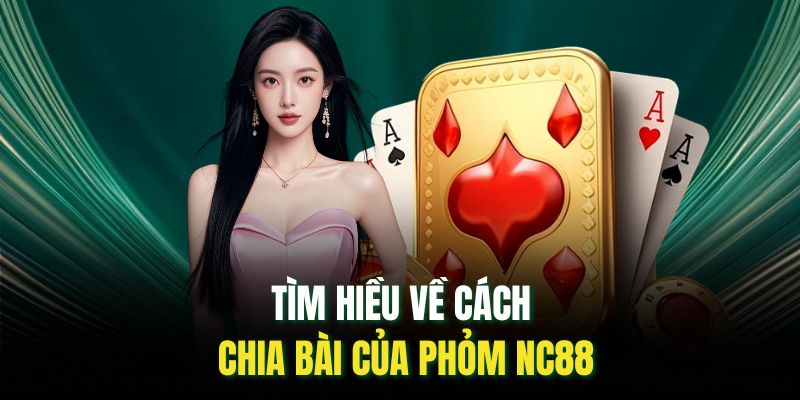 Tìm hiều về cách chia bài của phỏm nc88